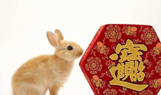 2021年属兔有添丁之喜吗