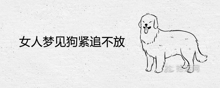 女人梦见狗紧追不放是什么意思