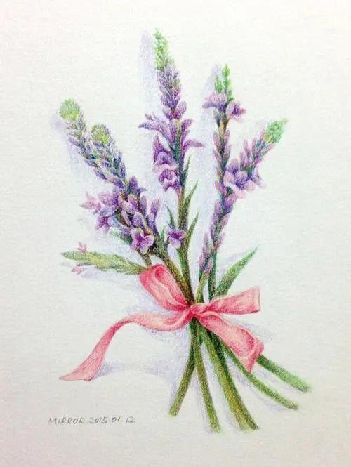 柠檬草的花语是什么?