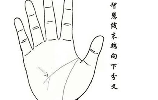 智慧线中间分叉向下