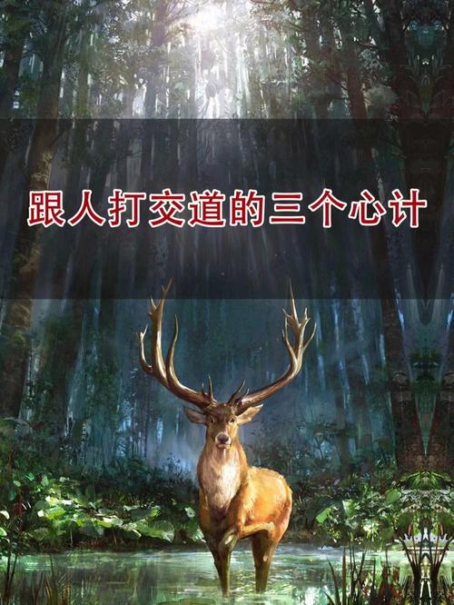 非常聪明,大智若愚,最不喜欢玩心计的三大星座