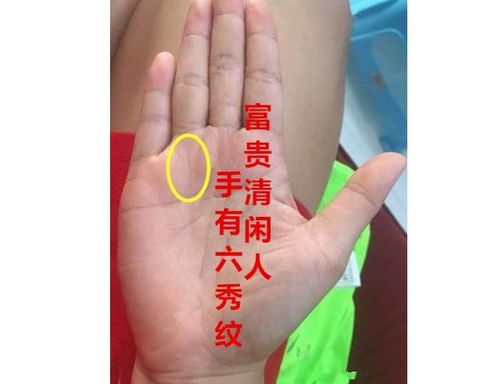 天生注定名誉、地位及财富大丰收之手相,你有吗?