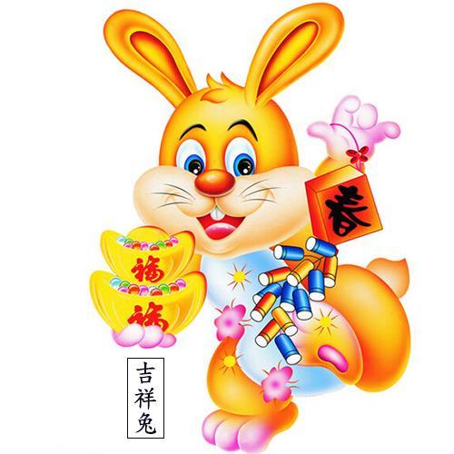 属兔人在什么方面会让你很暖心
