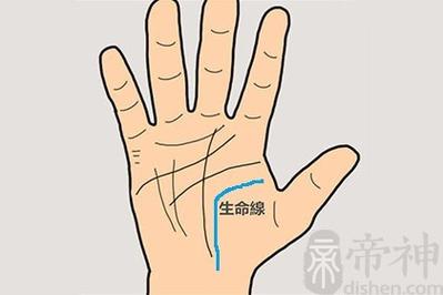 生命线末端分叉有何寓意