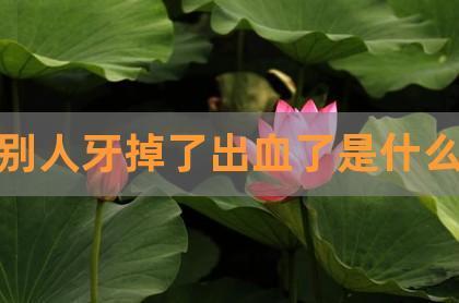 梦见下牙掉一颗没出血是什么意思