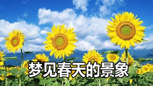 梦见春天的景象周公解梦，梦见春天的景象是什么意思？