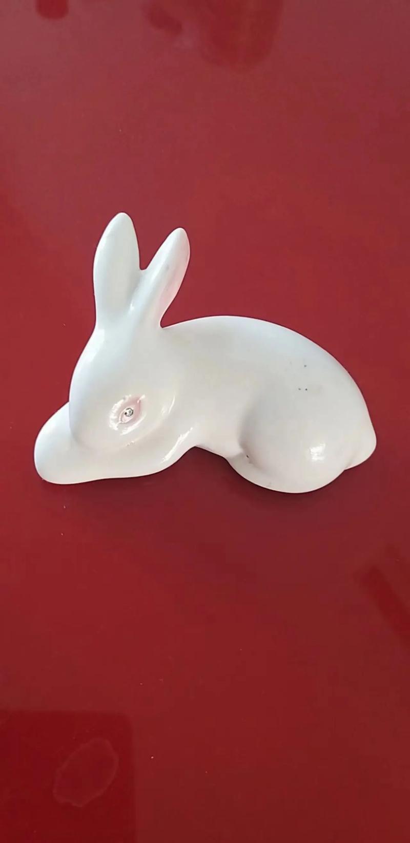 看见心仪的妹子?属兔男心里在想什么
