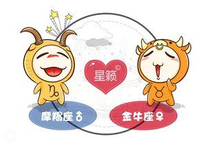 摩羯与金牛是一场宿命