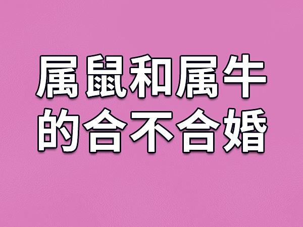 属鼠女和属牛男2021年可以结婚吗?2021年不宜结婚的属相?