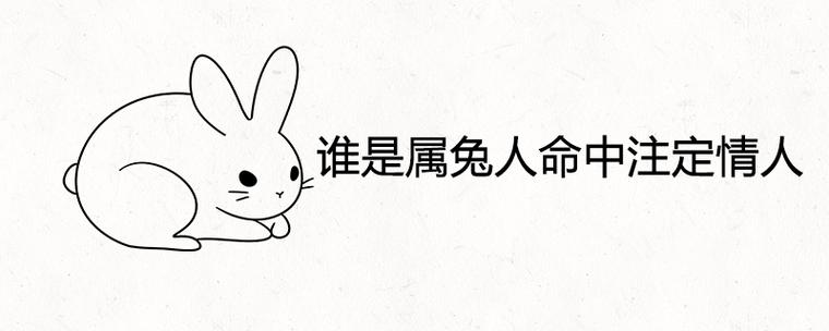谁是属兔人命中注定的情人
