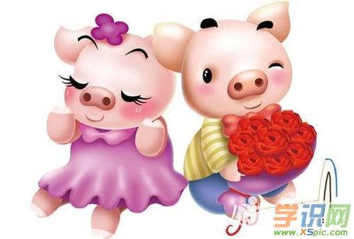 生肖年运:属猪的人2021年情婚姻与爱情运势解析