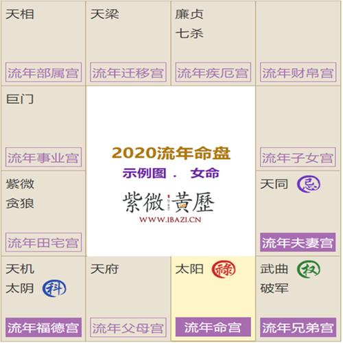 紫薇斗数小流年盘怎么排