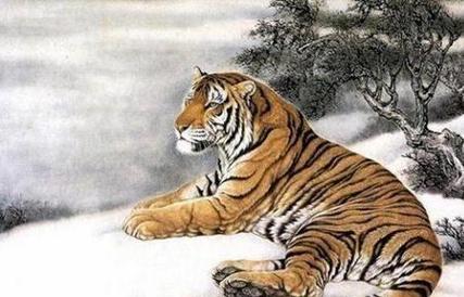 2022年3月属虎的财运好吗
