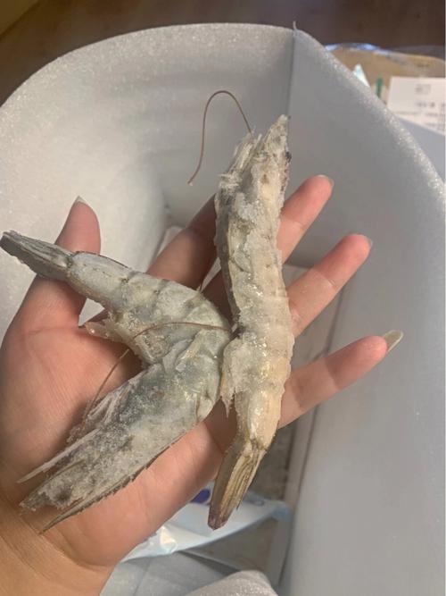 梦见卖冻鱼 梦见卖冻鱼冻虾生意火爆