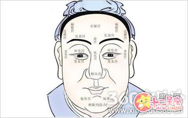 面相大占卜之下颚