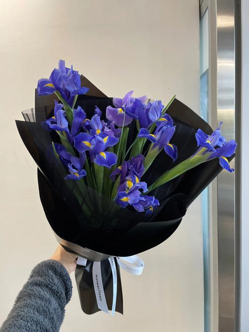 5月28日生日花语:鸢尾花