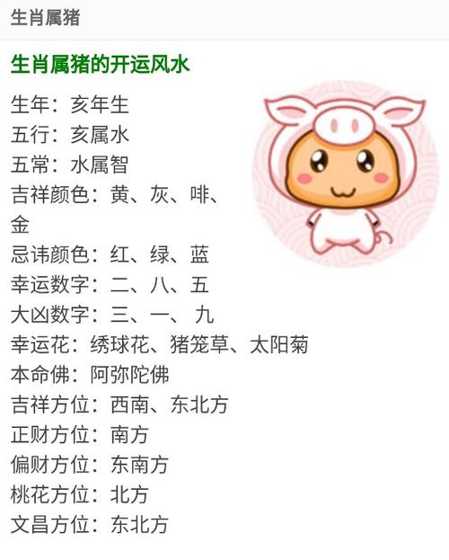 属兔属相婚配表
