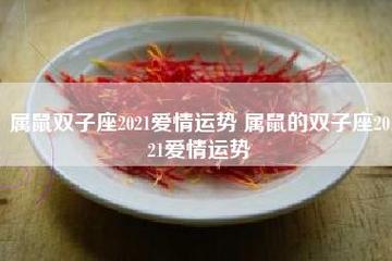 2017属鼠的双子座运势