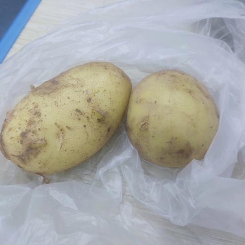 买土豆