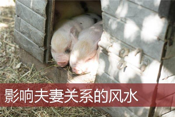 解惑:家居风水与夫妻关系