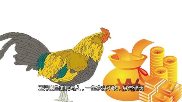 属鸡几月命苦,出生什么月份的属鸡人命苦