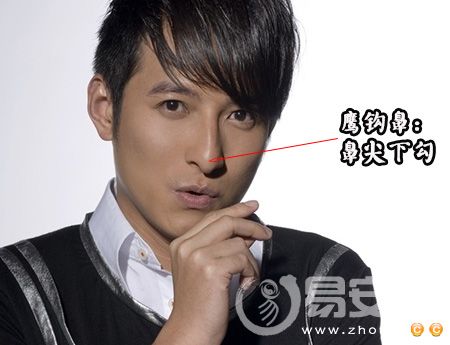 鹰钩鼻的人怎么样图片
