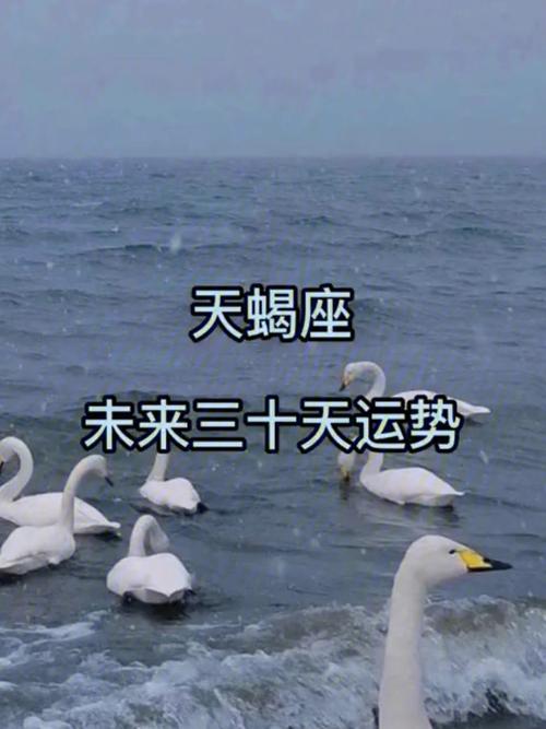 双鱼和天秤会纠缠一辈子