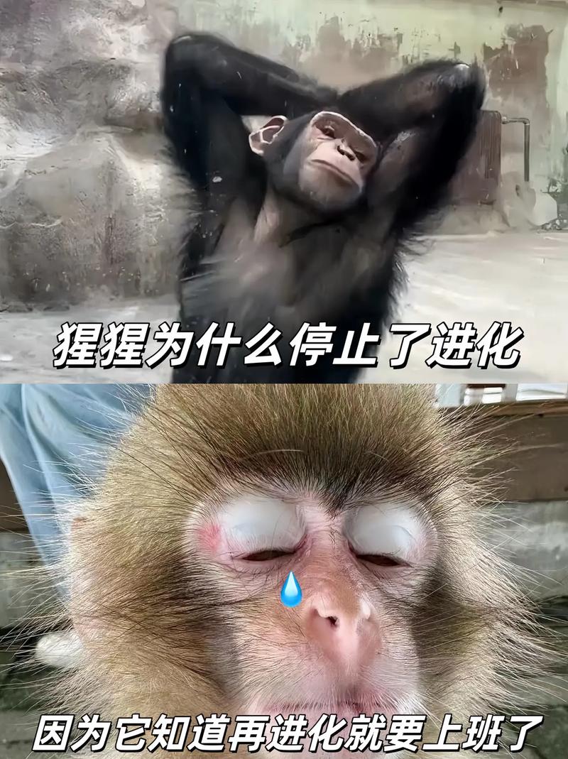 梦见牛追我但躲开了