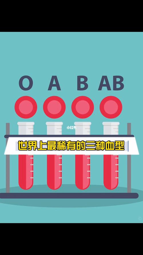 血型最稀有的是哪个