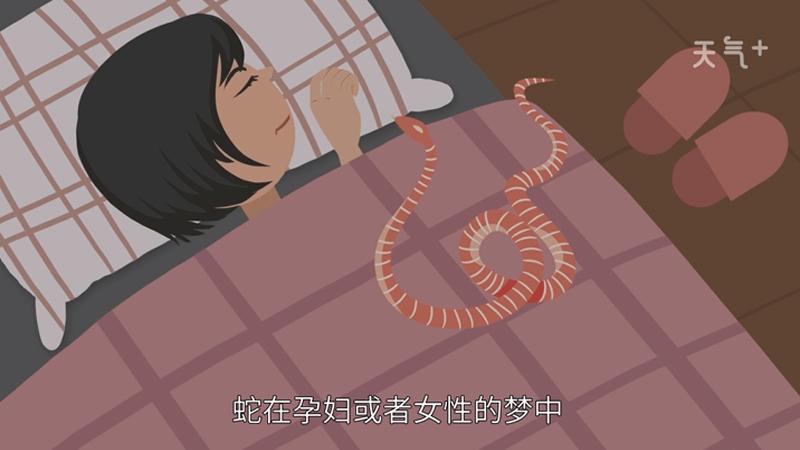 孕妇梦见蛇在自己床上