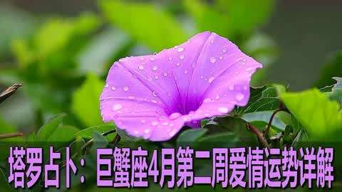 巨蟹座属鸡女生命好吗？今年爱情之花能够绽放吗？