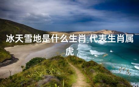 冰天雪地打一生肖