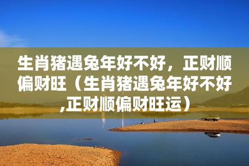 属猪的人2021年下半年有偏财运吗
