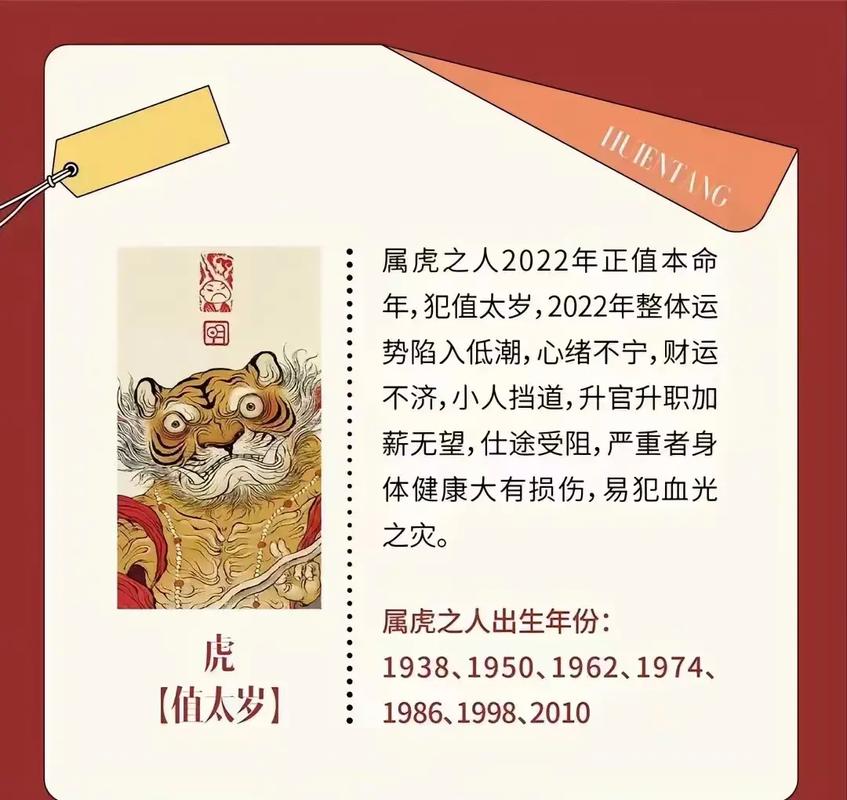 属虎冲太岁年份