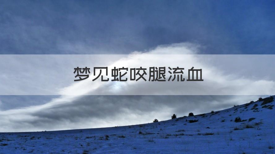 梦见蛇咬腿出血