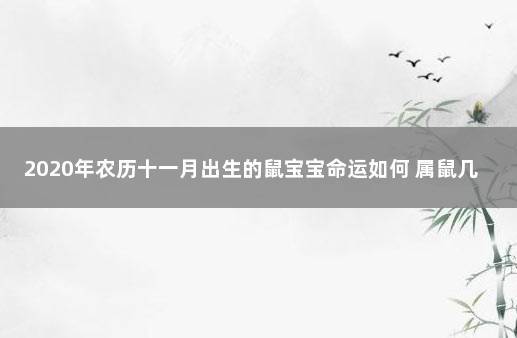 农历十一月出生的鼠宝宝命好吗??事业光辉?