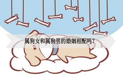 属狗男喜欢你的表现
