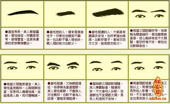 男人眉毛图解算命大全