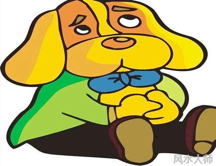 生肖狗男性是否花心