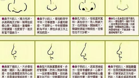 朝天鼻面相解析