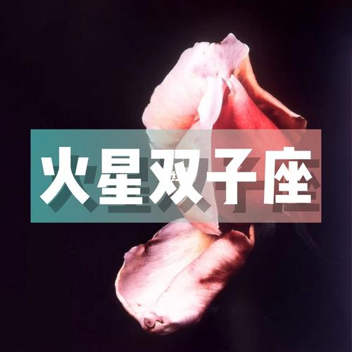 火星星座在双子座