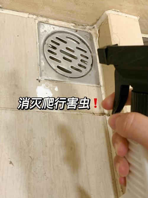 梦见苍蝇蚊子潮虫是什么意思