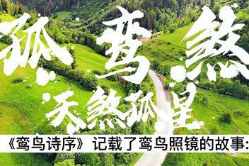 真正的四个孤鸾日
