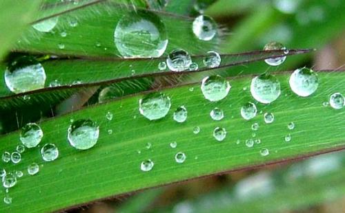 周公解梦梦见雨水代表什么意思