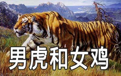 男虎女鸡谈恋爱会有结果吗？