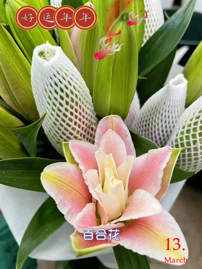 11朵百合花的花语是什么?