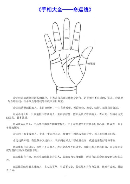 命运线分为哪些类型