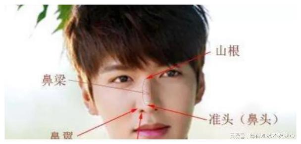 性情冷漠,擅长经商的男人鹰钩鼻面相分析