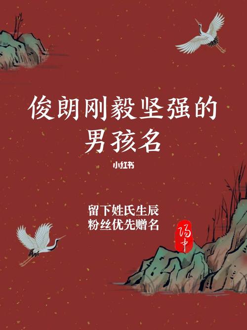 坚韧刚毅的男孩名字什么音好