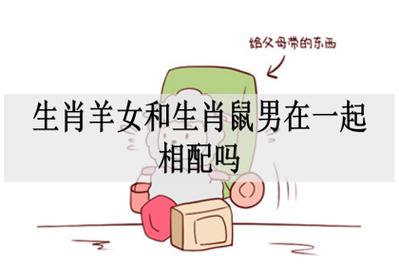 生肖鼠的男生和生肖羊的女生缘份指数